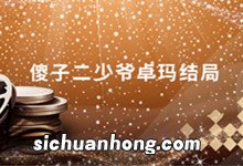 傻子二少爷卓玛结局 尘埃落定最后的结局