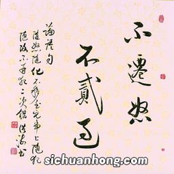 不迁怒不贰过说的是孔子的哪位弟子 不迁怒不贰过指的是谁