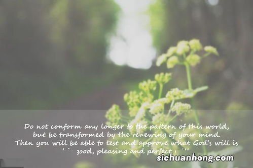 同是天涯沦落人相逢何必曾相识猜成语 同是天涯沦落人相逢何必曾相识打一成语