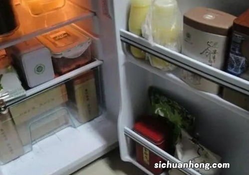 什么茶叶可以放冰箱