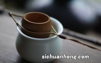 什么茶漏好