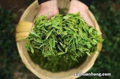 三峡茗茶有什么作用