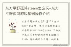 东方平野孤鸿steam怎么玩-东方平野孤鸿游戏基础操作介绍