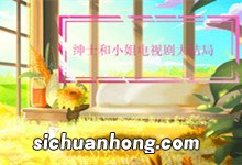 绅士和小姐电视剧大结局 绅士和小姐结局是什么