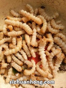 羊肚里容易长什么虫