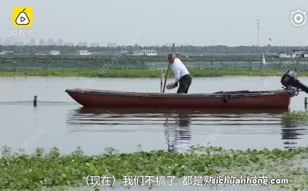 去阳澄湖吃正宗大闸蟹？当地人：正宗的你肯定买不到