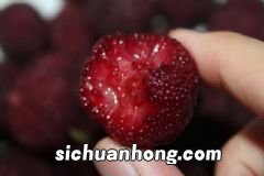花胶的营养价值有什么？花胶的食用方法有什么？