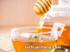 蜂蜜可以泡什么茶