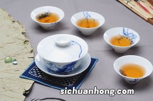 防晒泡什么茶