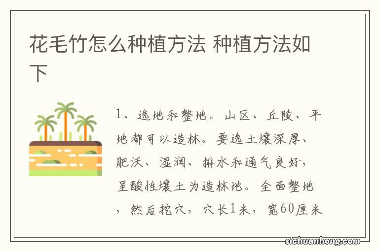 花毛竹怎么种植方法 种植方法如下