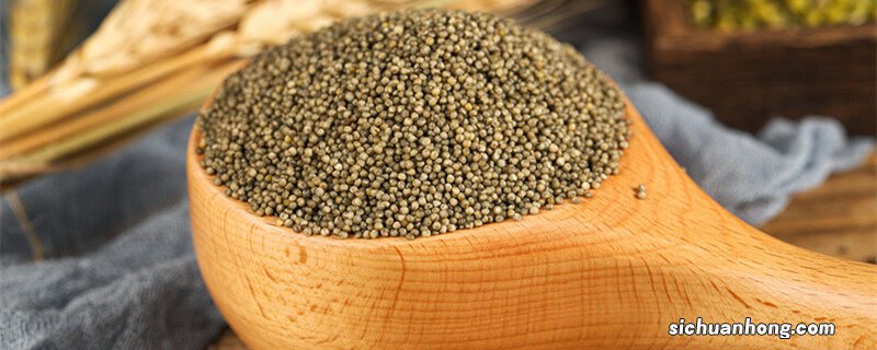 粟米是什么米 粟米是什么