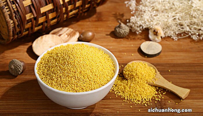 粟米是什么米 粟米是什么