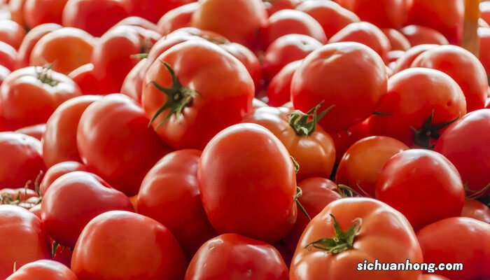 红薯是哪个国家传入中国的 西红柿什么时候传入中国