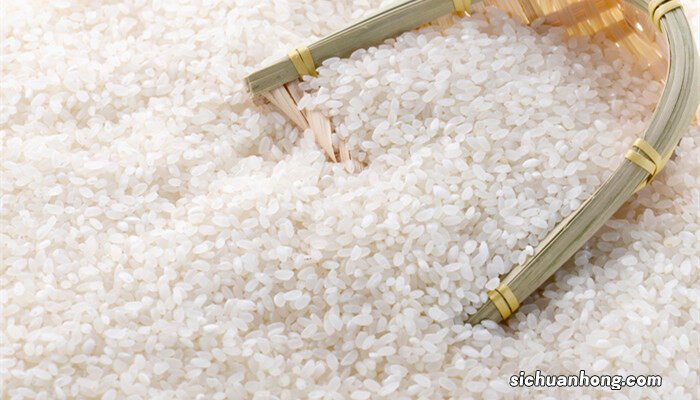 大米生虫怎么办小窍门 大米生虫怎么办