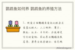 鹦鹉鱼如何养 鹦鹉鱼的养殖方法