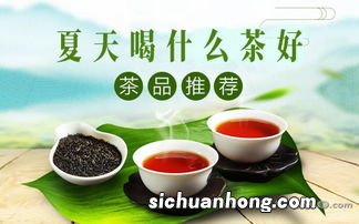 夏天最适合饮用什么茶