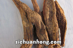 菜根都有哪些功效作用?食用菠菜的注意事项有哪些?