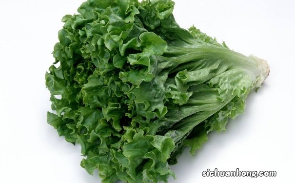 绿叶菜主要有哪些好处？怎样清洗绿叶菜比较好？