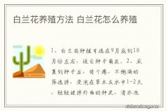 白兰花养殖方法 白兰花怎么养殖