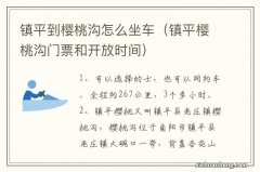 镇平樱桃沟门票和开放时间 镇平到樱桃沟怎么坐车