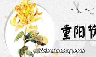 重阳节日祝福语10字以内 重阳节日祝福语精选