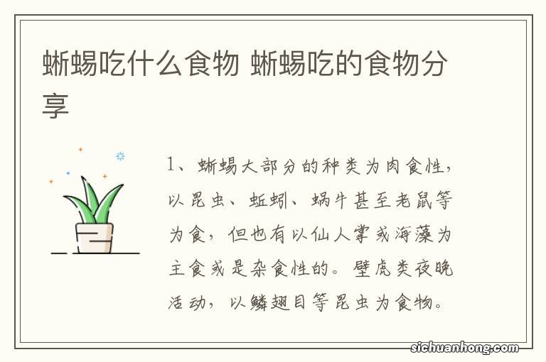 蜥蜴吃什么食物 蜥蜴吃的食物分享