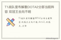 T1战队宣布解散DOTA2分部当前阵容 双冠王去向不明