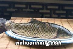 冬季有哪些养生方法?冬季养生的食物有哪些?