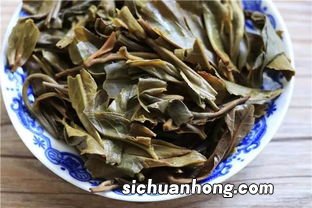 什么是茶叶梗