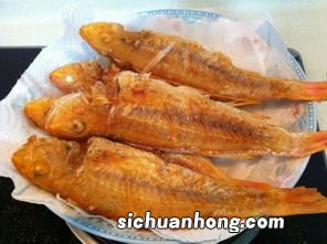 鱼骨头有什么营养