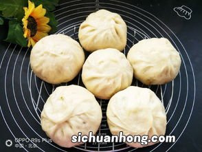 做的胡萝卜素馅包子多久能熟