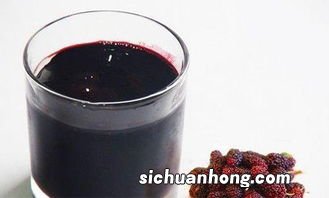 桑葚酒什么牌子好