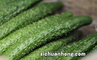 黄瓜不可以和什么一起吃