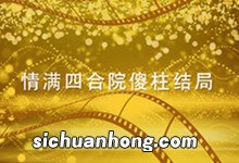 情满四合院傻柱结局 情满四合院傻柱结局怎么样