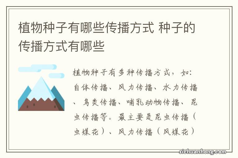 植物种子有哪些传播方式 种子的传播方式有哪些