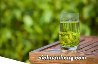 绿茶茶虫长什么样子