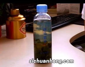 冷水泡茶用什么水