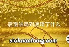 后窗结局到底埋了什么 后窗 结局