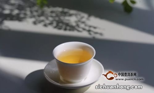 花茶新茶什么时候下来