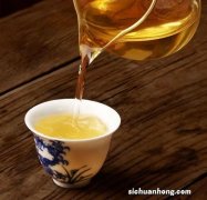 花茶新茶什么时候下来