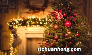 圣诞节的风俗有哪些 圣诞节有什么习俗
