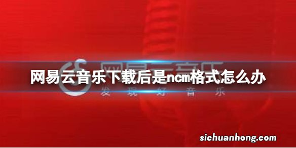 网易云音乐下载后是ncm格式怎么办 网易云音乐ncm格式介绍