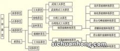 茶艺分类原则是什么