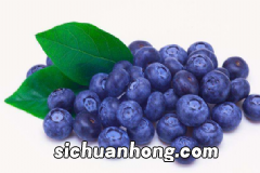 吃花生的好处主要有哪些?每天吃多少花生最健康?