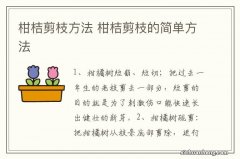 柑桔剪枝方法 柑桔剪枝的简单方法