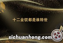 十二金钗都是谁转世十二金钗都是什么的转世