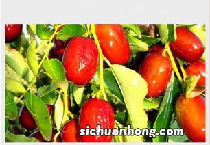 流产后吃什么排毒