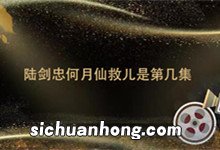 陆剑忠何月仙救儿是第几集 陆剑忠何月仙救儿是哪一集