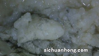 自制米酒为什么会长霉