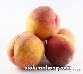 桃子没熟要放多久